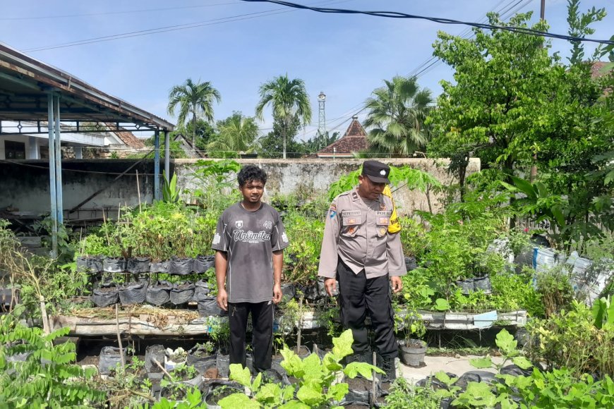 Bhabinkamtibmas Desa Klitik Dampingi Warga Manfaatkan Pekarangan untuk Tanaman Pangan Bergizi